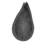 Seed
