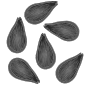 Seeds