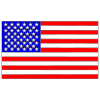 USA Flag Picture