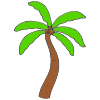 Palm Tree