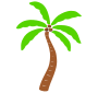 Palm Tree