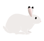 Rabbit  Stencil