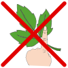 Do Not Touch Poison Ivy