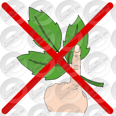 Do Not Touch Poison Ivy