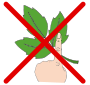 Do Not Touch Poison Ivy
