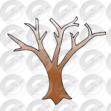 Winter Tree