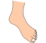 Foot  Picture
