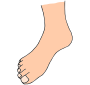 Foot  Picture