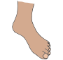 Foot  Picture