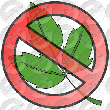 No Poison Ivy