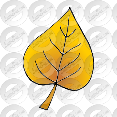 Leaf