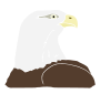 Bald Eagle Stencil