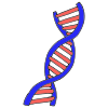 DNA