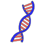 DNA Picture