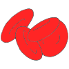 Red Blood Cells