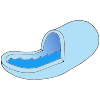 Vacuole