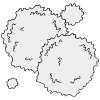 White Blood Cells