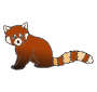 Red Panda