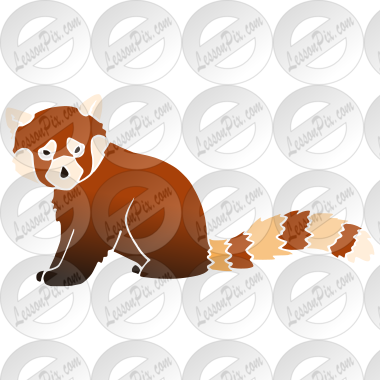 Red Panda