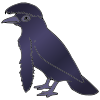 Umbrellabird
