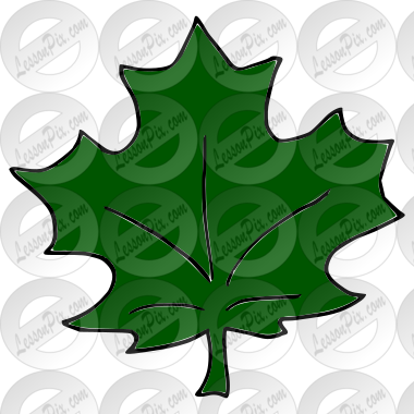 Leaf