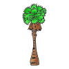 Palm Tree