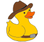 Cowboy Rubber Duck Picture