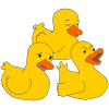 Three Ducks Picture