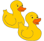 Two Duckies Picture