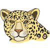 Jaguar Picture