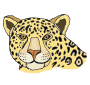 Jaguar  Picture