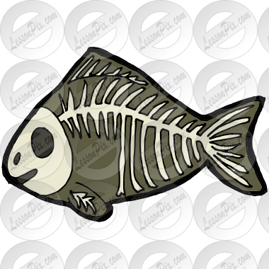 X-ray Fish