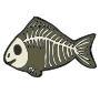 X-ray Fish