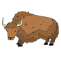 Yak
