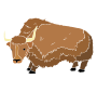Yak