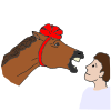 Do Not Look A Gift Horse in the Mouth Picture