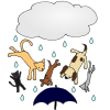 Raining Cats and Dogs Picture
