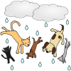 Raining Cats and Dogs Picture