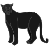 Panther Picture