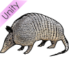 Armadillo Picture