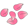 Petals
