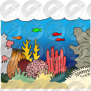 Reef