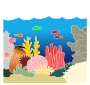 Reef