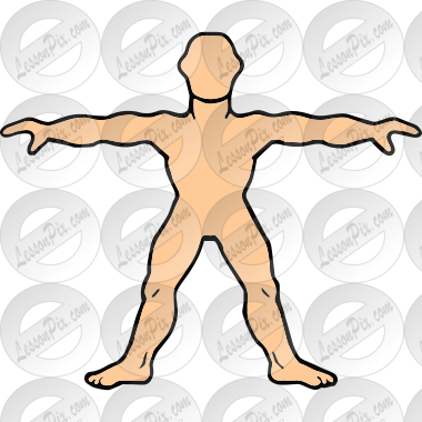 Body