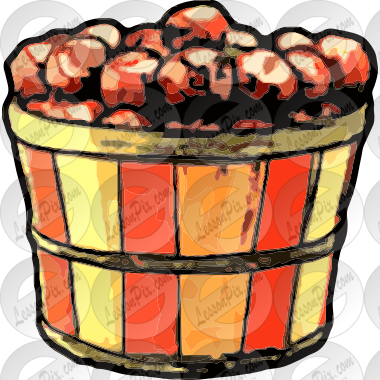 Bushel