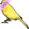 Canary Picture