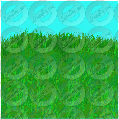 Grass