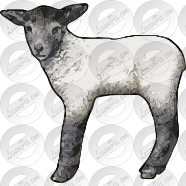 Lamb
