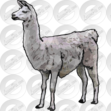 Llama