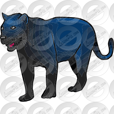 Panther